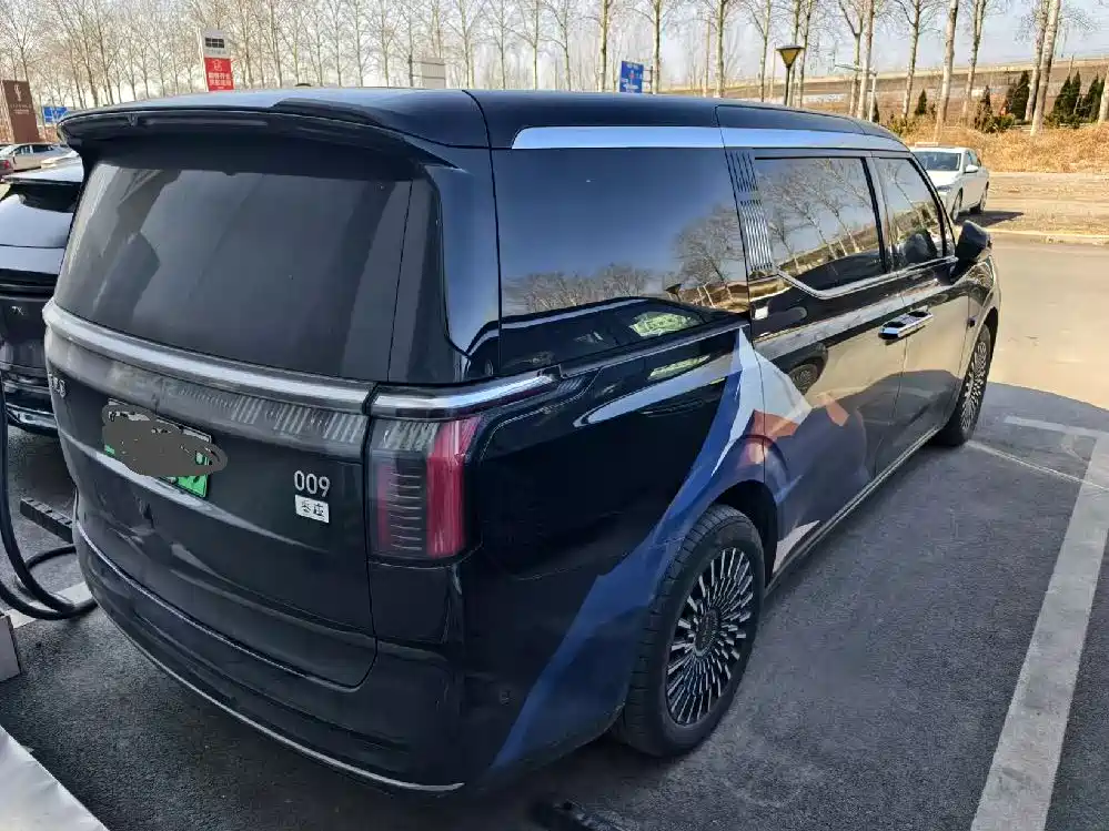 ZEEKR EXTREME KRYPTON 009