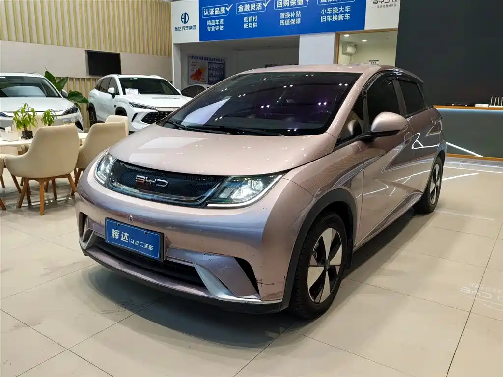 BYD DOLPHIN