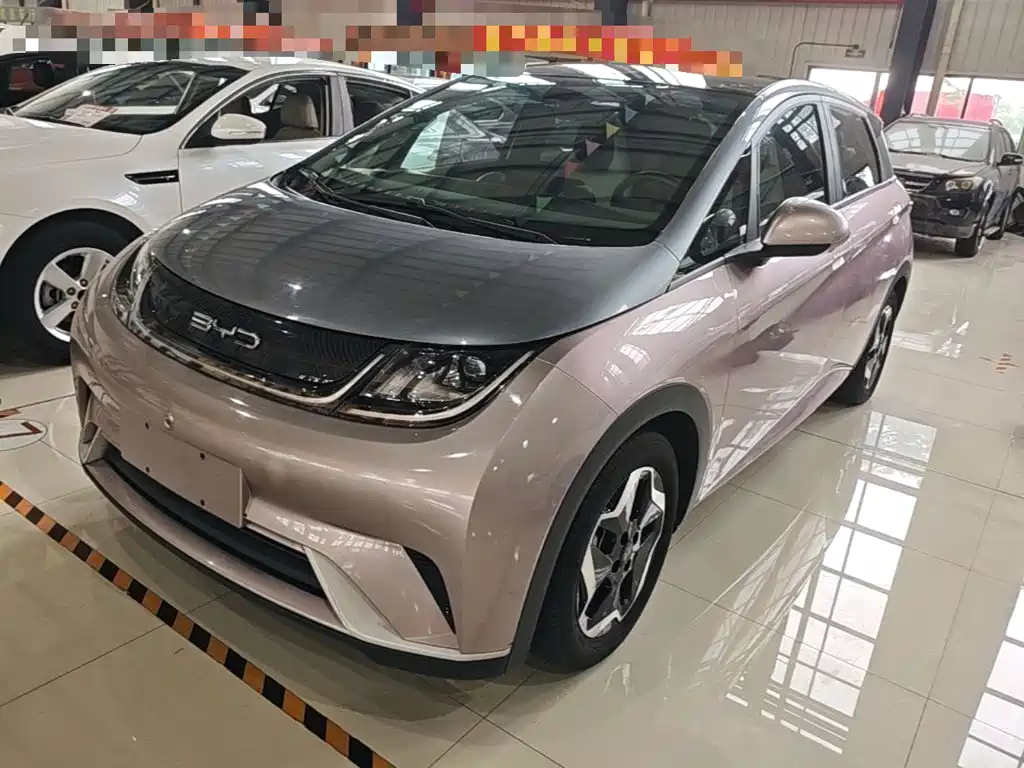 Фото 1 - BYD Dolphin
