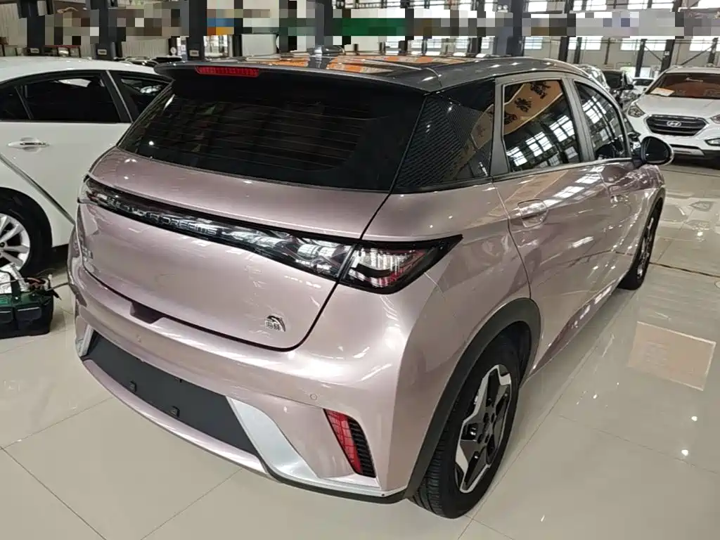Фото 7 - BYD Dolphin