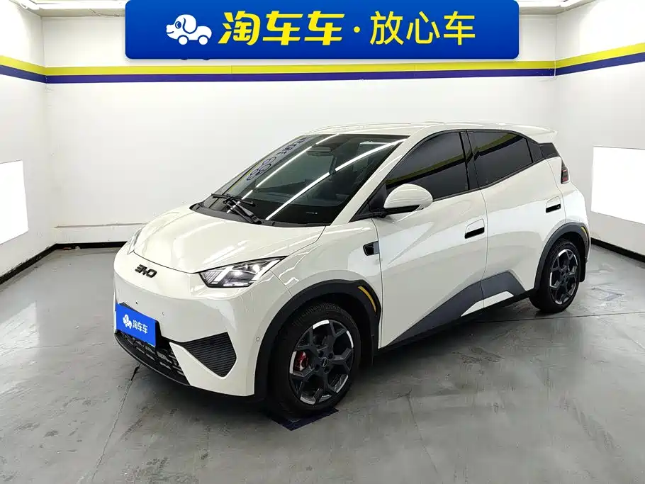 BYD Seagull 2025 Smart Drive Edition 305km Freedom Version