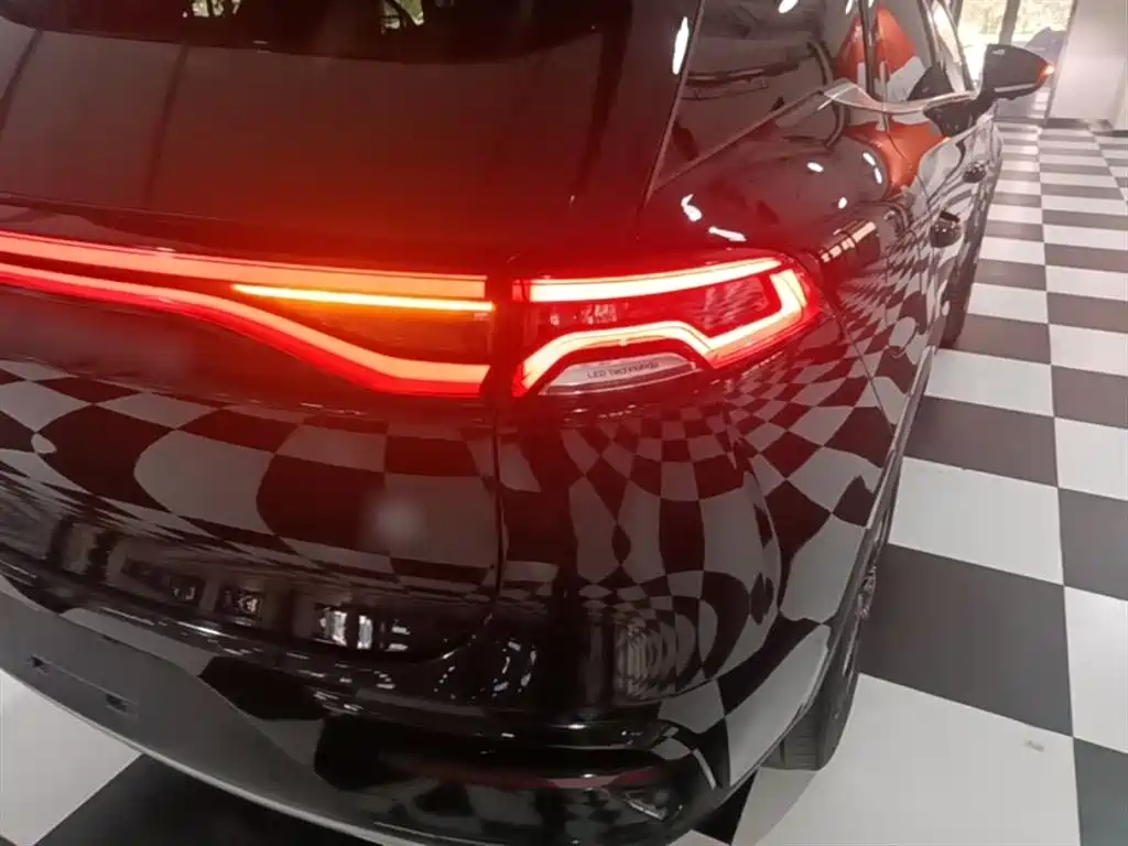 BYD Tang New Energy 2023 Model DM-i Champion Edition 112KM Honor фото 8