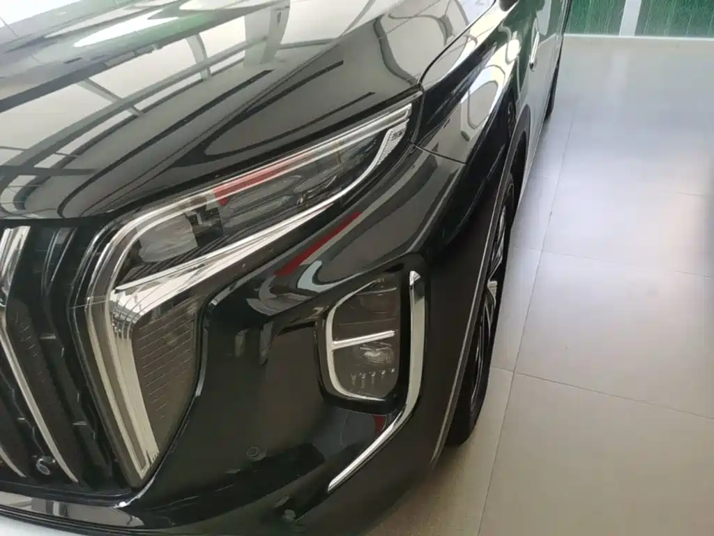 Photo 24 - Hongqi HS7 PHEV
