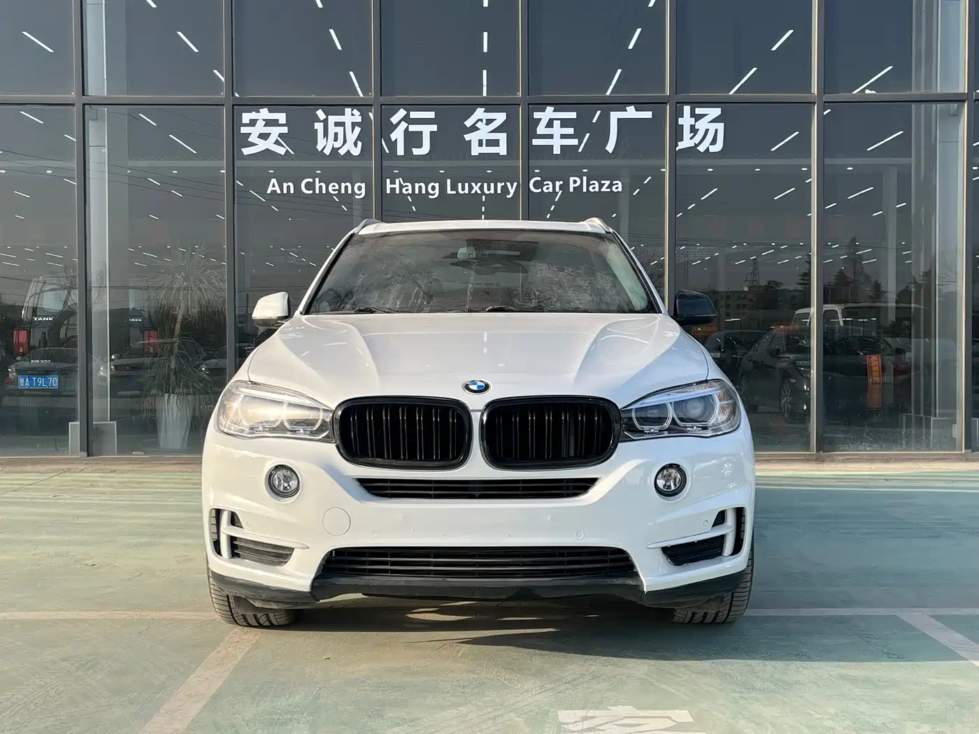 BMW X5 (Import) 2018 xDrive35i Elegant Model фото 2