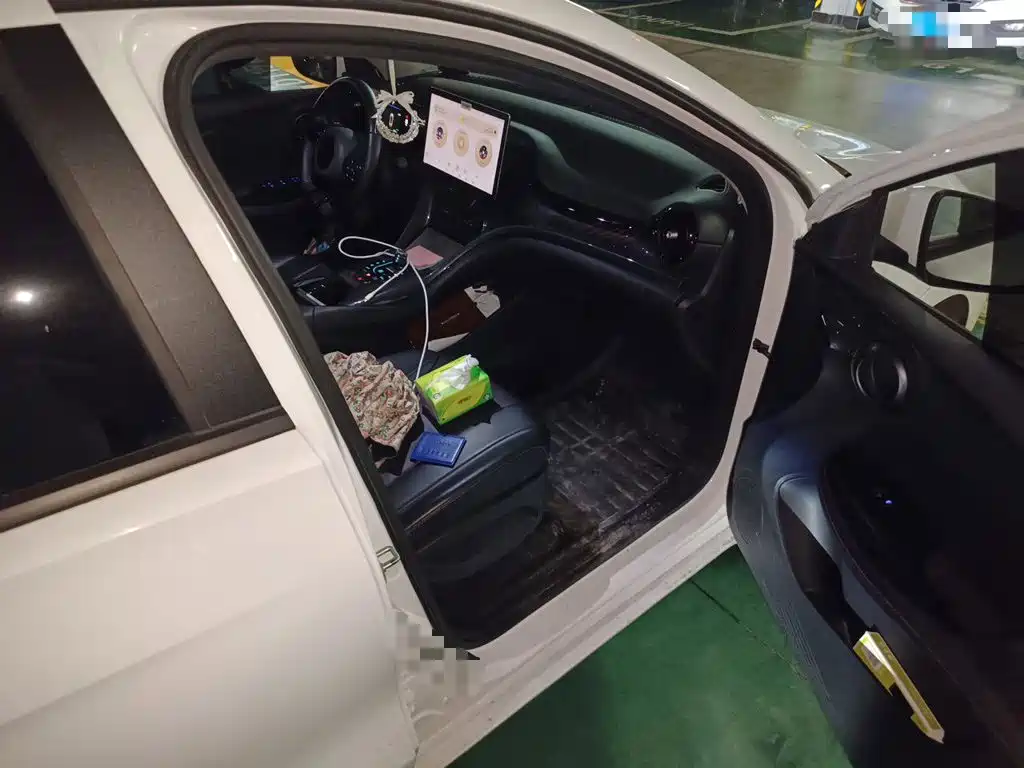 BYD e2 2023 2023 Luxury Model