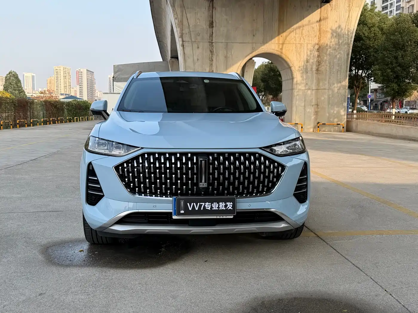 WEI PAI WEI BRAND MOCHA