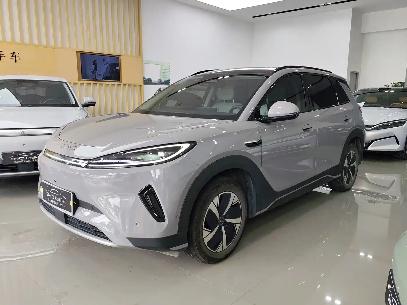 BYD Hai Shi 05 EV 2025 2025 520KM Smart Navigation Edition
