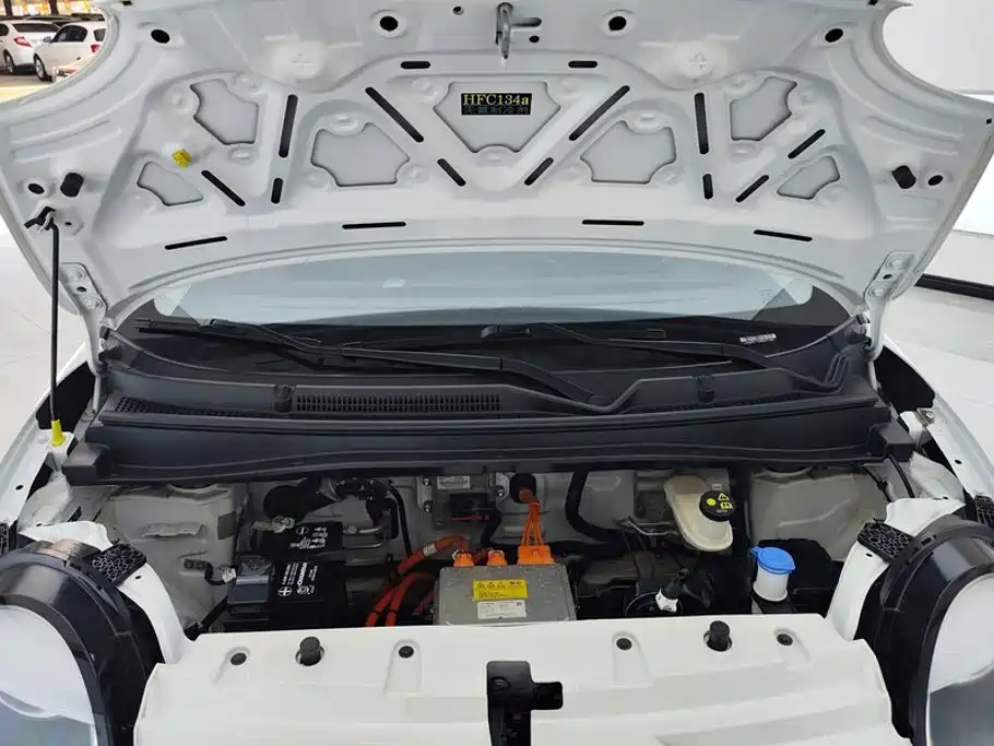 Changan Lumin 2024 2023 Model 205km Fragrant Edition