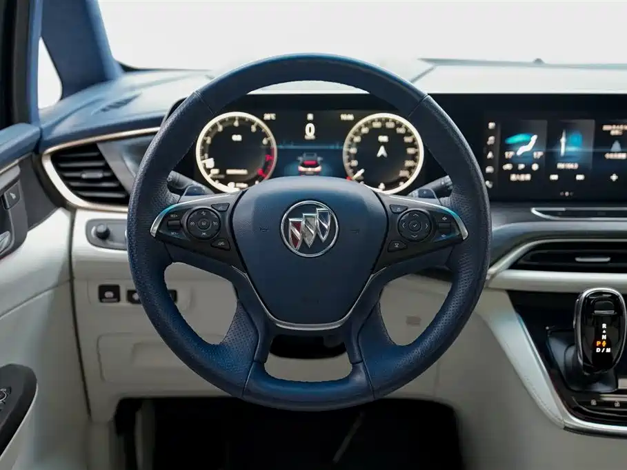 Buick GL8 2020 Avenir Four-Seat Prestige Edition фото 10