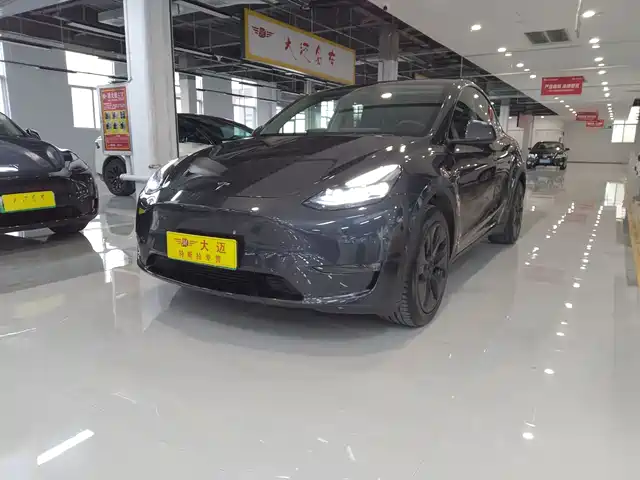 Tesla Model Y Увеличенный запас хода, полный привод