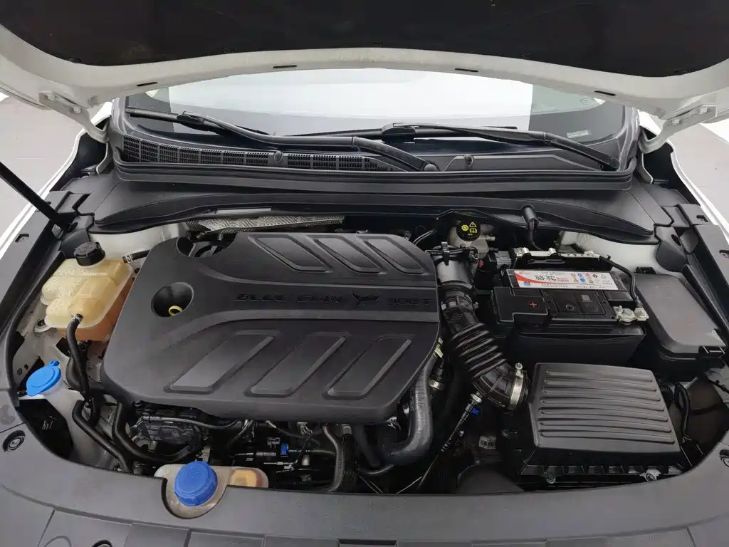 Changan Ruicheng CC, миниатюра 6