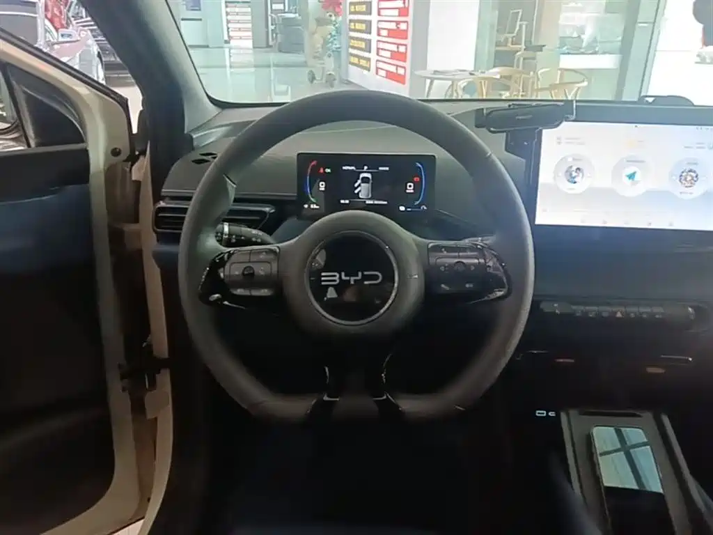 BYD Seagull 2025 305km Vitality фото 11