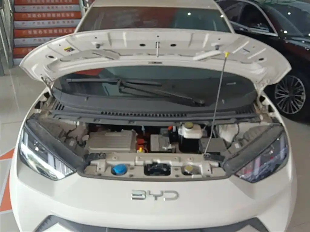BYD Seagull 2025 305km Vitality фото 20