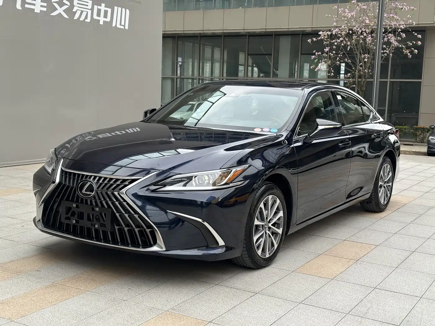 Lexus ES 2023 200 Excellence Edition фото 3