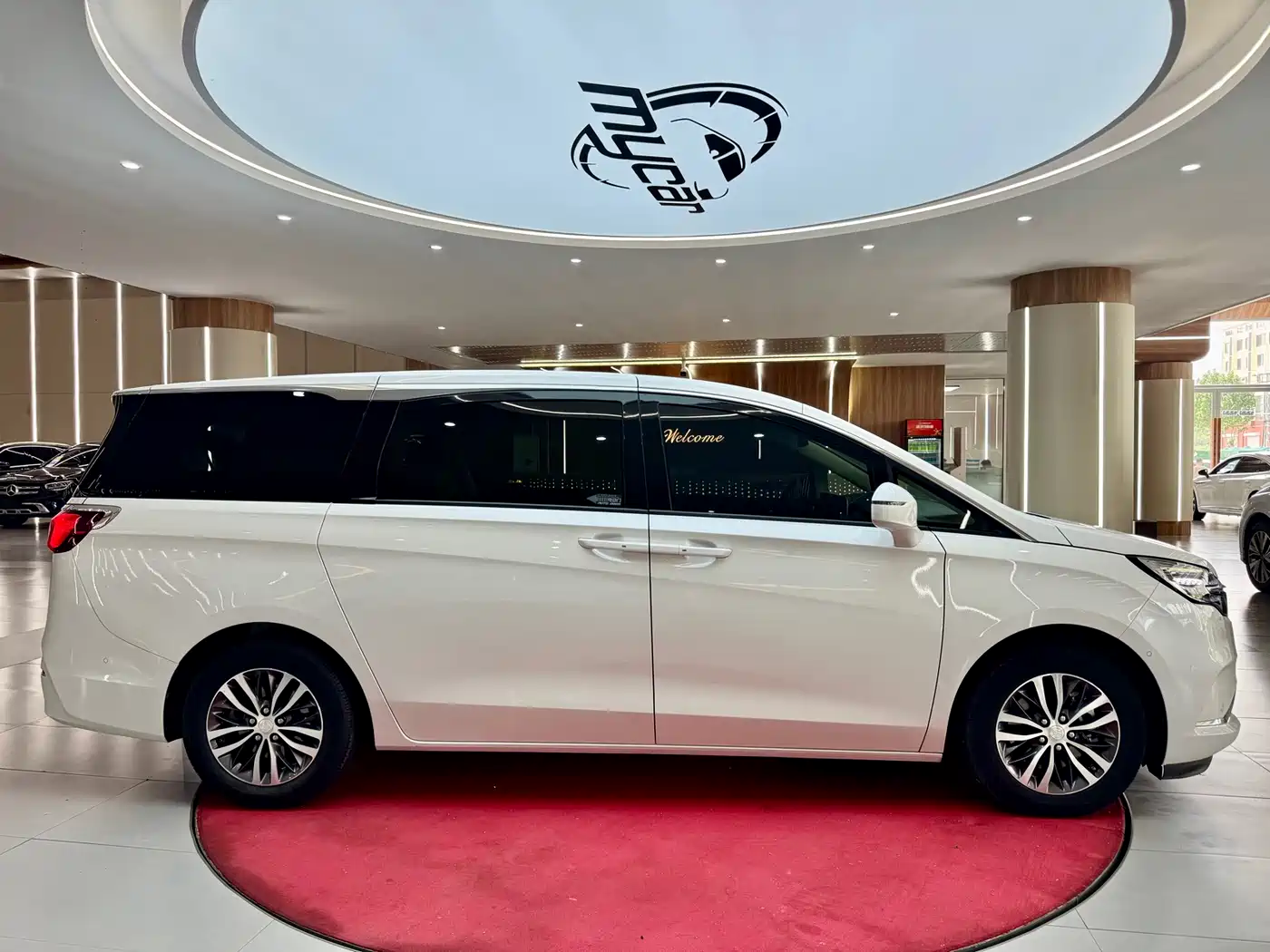 Buick GL8 2022 ES Landmark 653T Premium фото 4