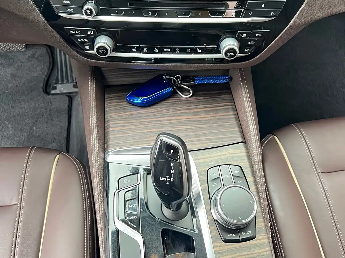 BMW 5 Series 2018 530Li Leading Luxury Package фото 13