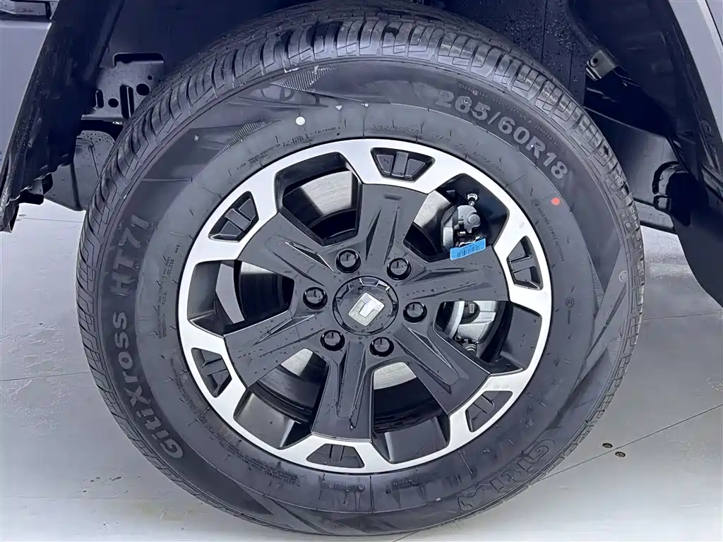 TANK TANK 300 NEW ENERGY