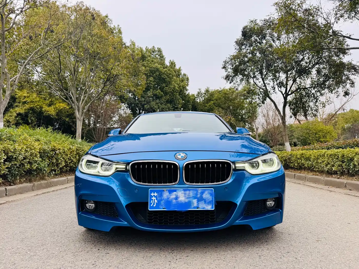 BMW 3 Series 2017 320Li M Sport фото 2
