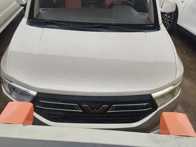  Wuling Motors Wuling Hongguang V 2022 1.5L Dynamic Edition Hydraulic Power Steering LAR
