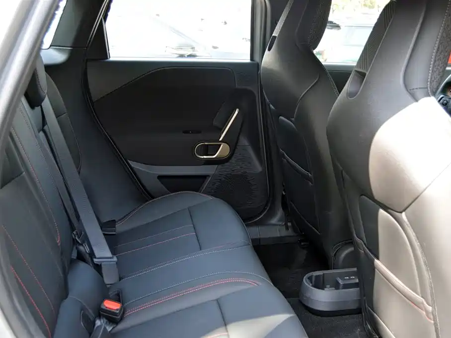 MINI ELECTRIC  JCW ACEMAN