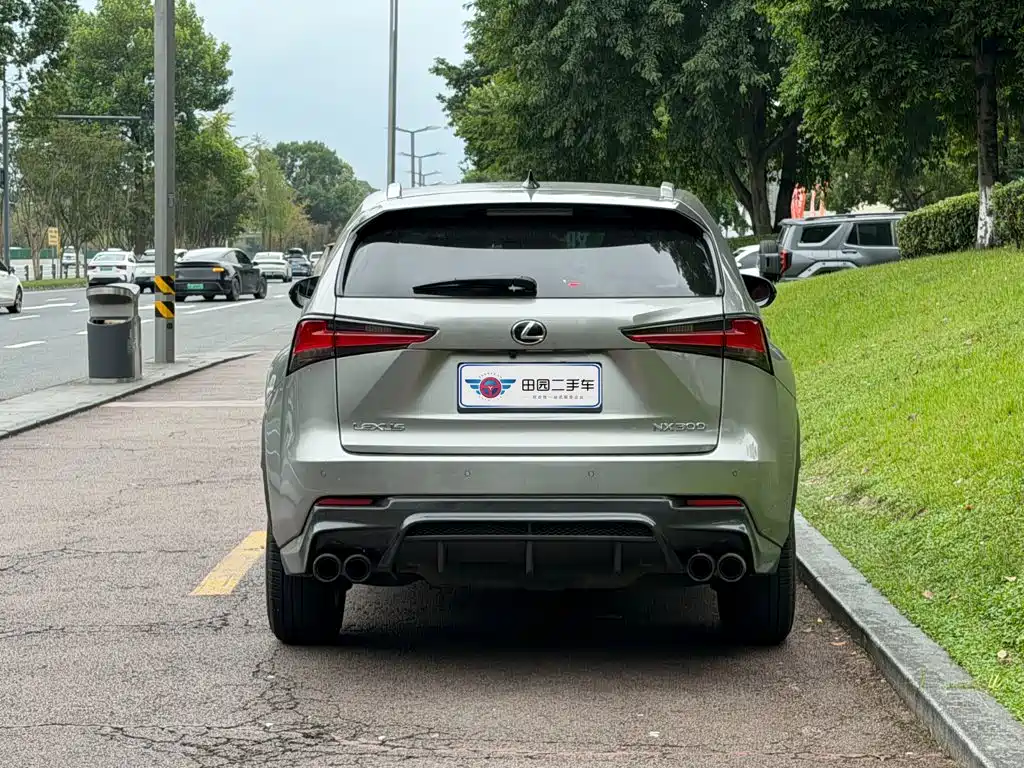 Фото 5 - Lexus NX