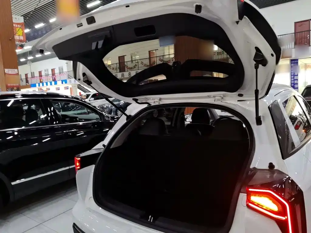 Geely Geometry E Firefly 2024 2024 401km Starlight