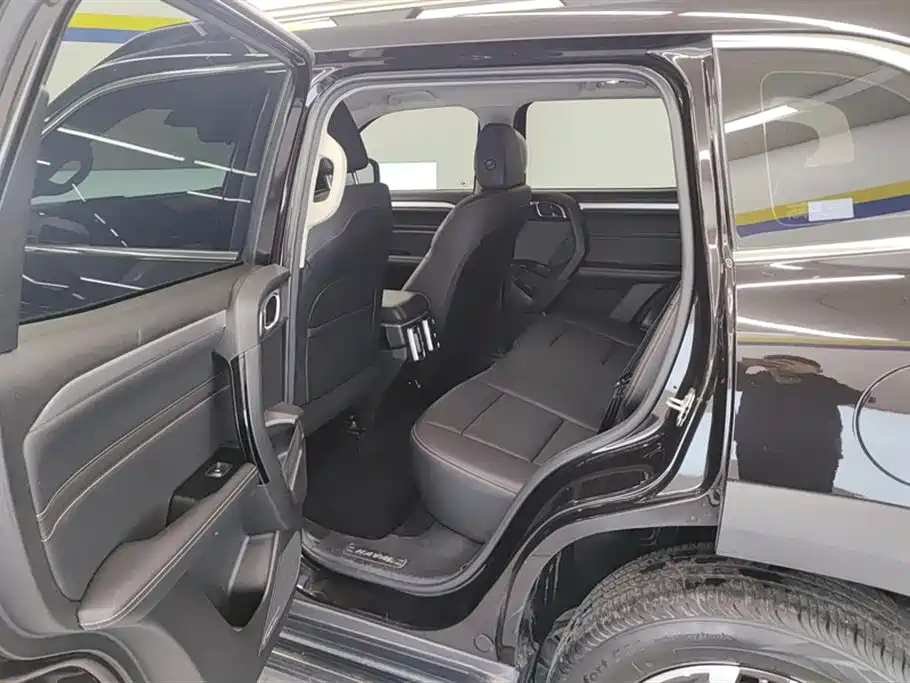 Haval Big Dog 2021 1.5T DCT 2WD Border Collie Edition фото 11