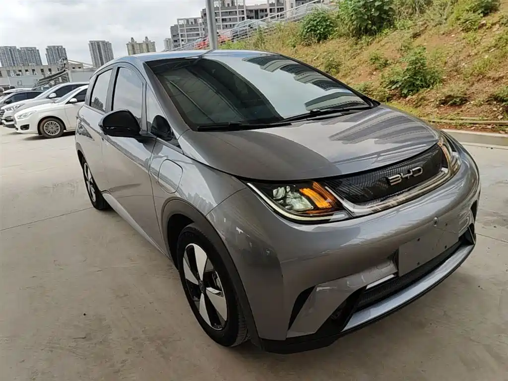 BYD Dolphin 2023 420km Freedom Edition фото 4
