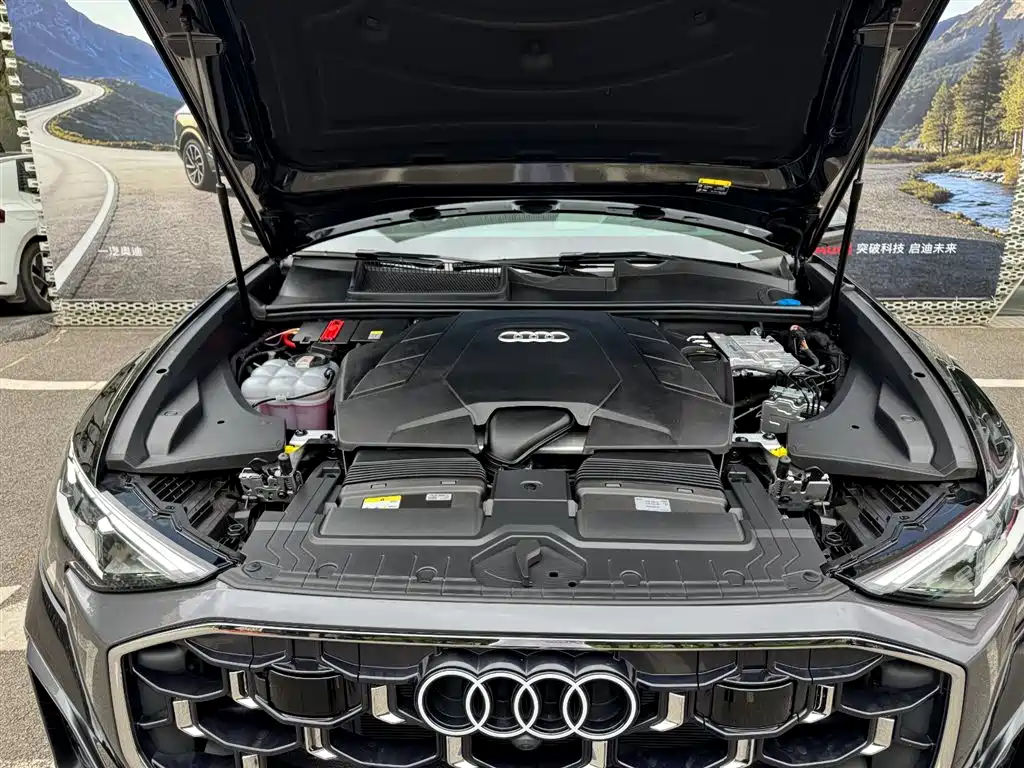 Audi Q8 2025 2024 55 TFSI Luxury Sport