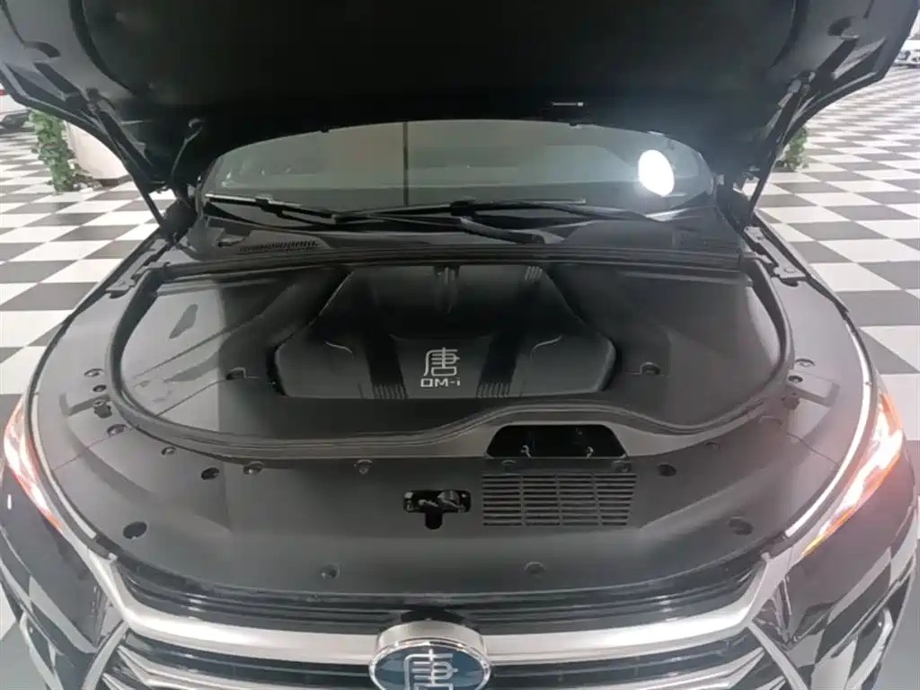 BYD Tang New Energy 2023 Model DM-i Champion Edition 112KM Honor фото 20