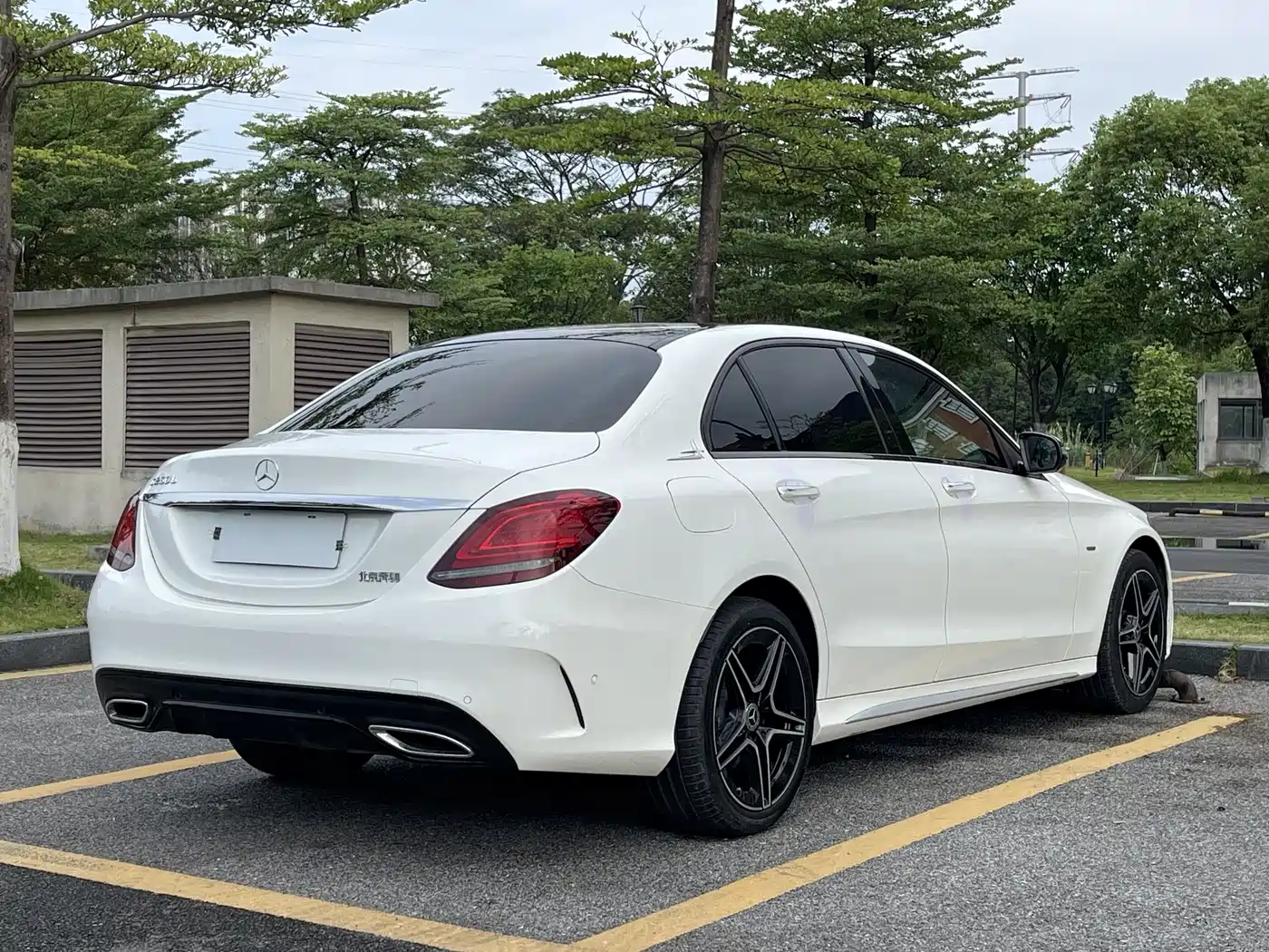 Mercedes-Benz C-Class 2021 C 260 L Sport Starry Exclusive Edition фото 6