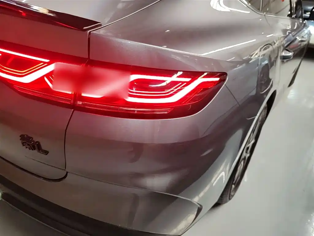 BYD Qin L 2024 DM-i 80KM Superior фото 8