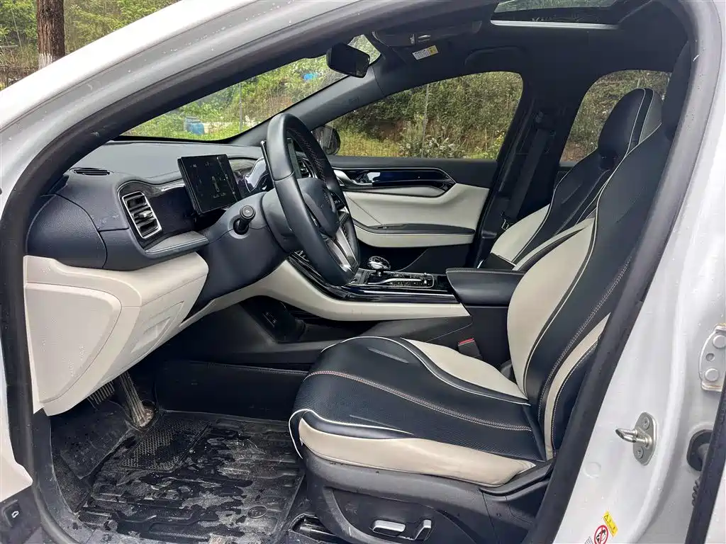 BYD Qin PLUS 2023 Champion Edition DM-i 120KM Excellence фото 4
