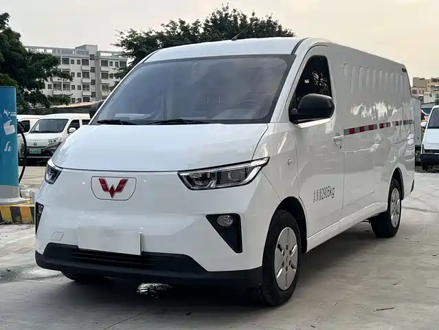 Wuling Motors Wuling Yangguang 2024