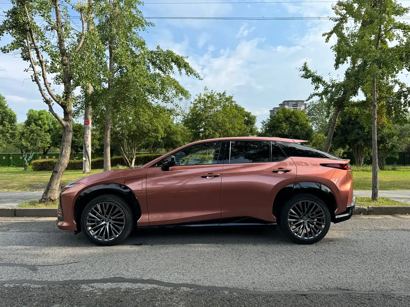 Lexus RZ 2023 450e 4WD Premium фото 2