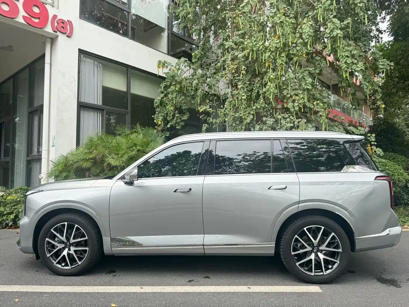 GAC Trumpchi Trumpchi GS8 2024 Dual Engine Series 2.0TM 4WD Premium Edition фото 6