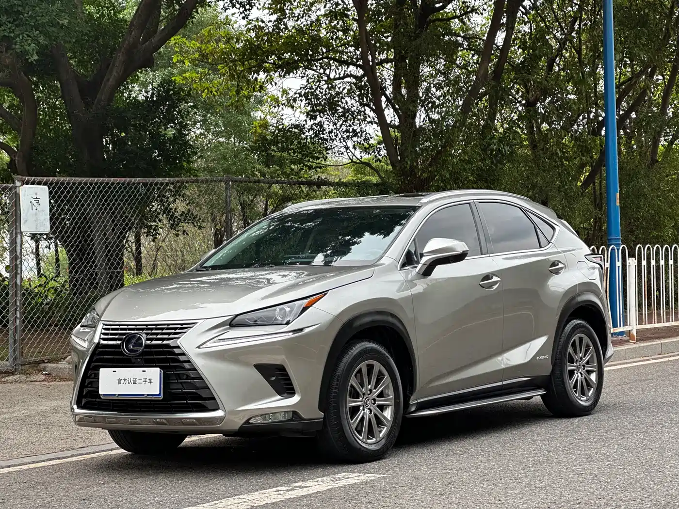 LEXUS NX