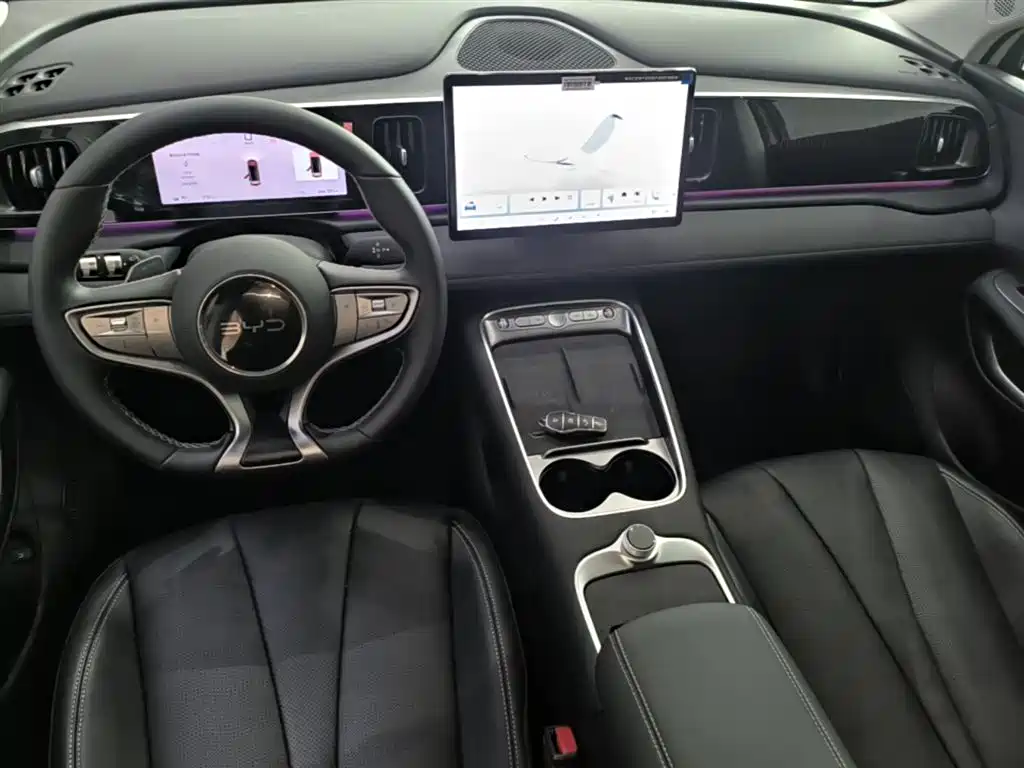 BYD Hai Shi 05 EV 2025 520KM Flagship Smart Navigation Edition фото 10
