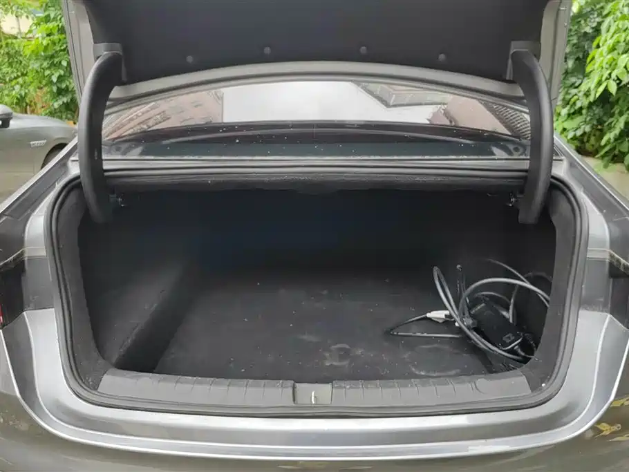 BYD Qin PLUS 2024 Glory Edition DM-i 55KM Leading фото 4