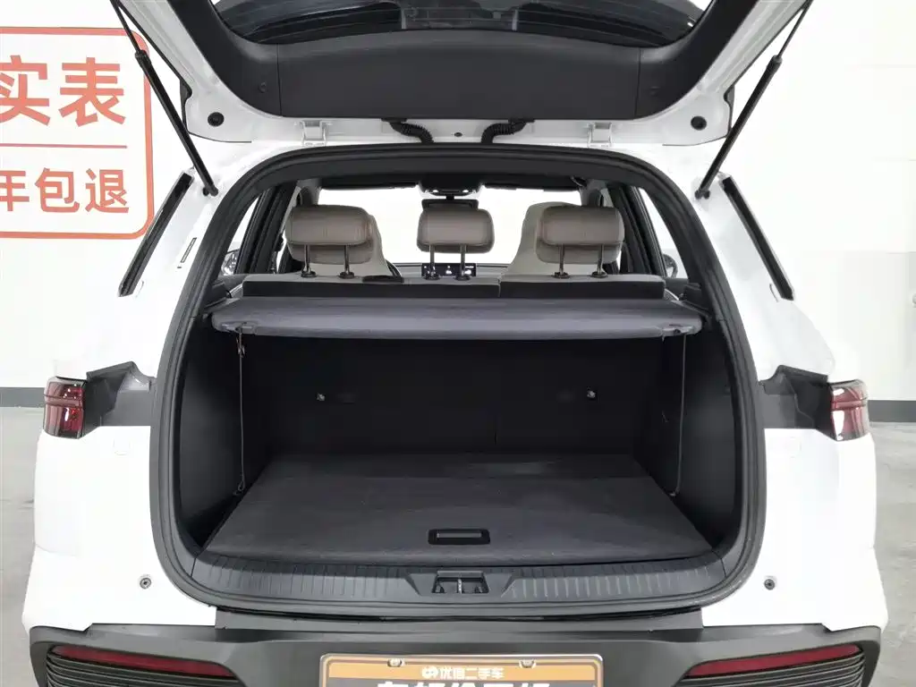 BYD SONGJIANG NEW ENERGY