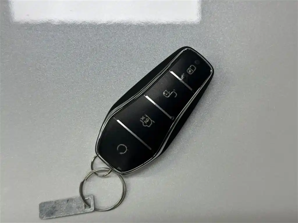 BYD Qin PLUS 2024 Glory Edition DM-i 55KM Leading фото 19