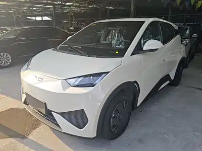 BYD Seagull