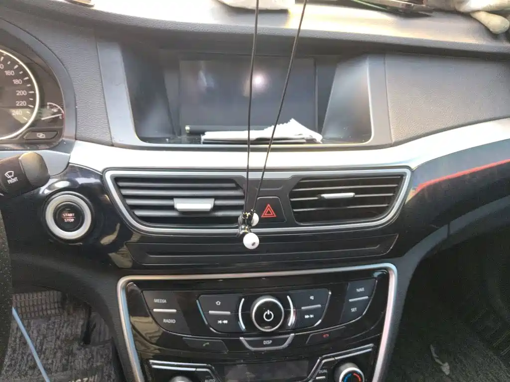Фото 9 - Geely Borui