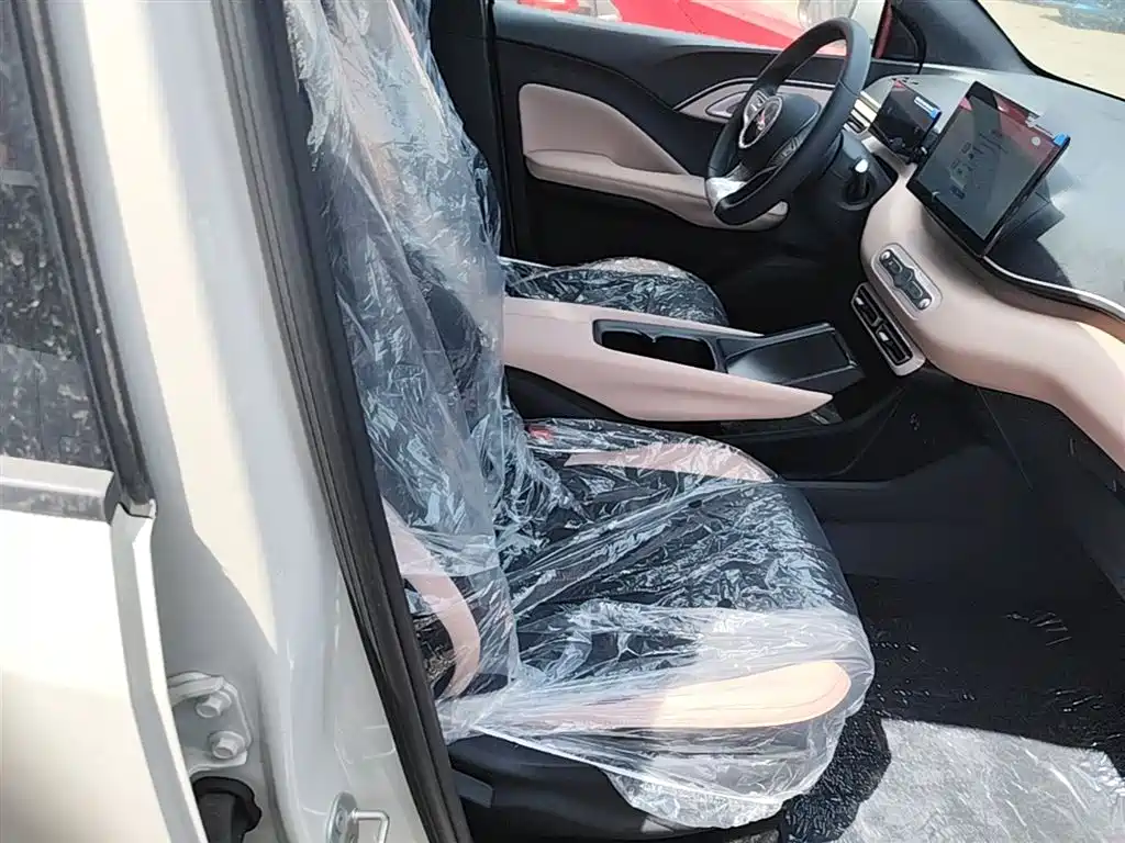 BYD Seagull 2025 Smart Drive Edition 305km Vitality Version фото 25