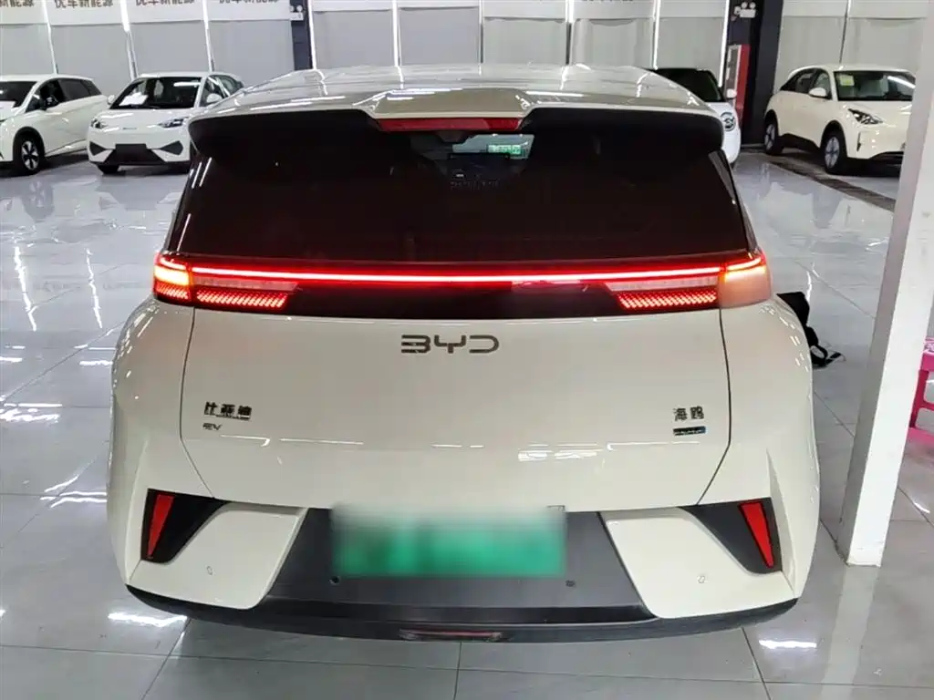 BYD Seagull 2025 Smart Drive Edition 305km Freedom Version фото 6