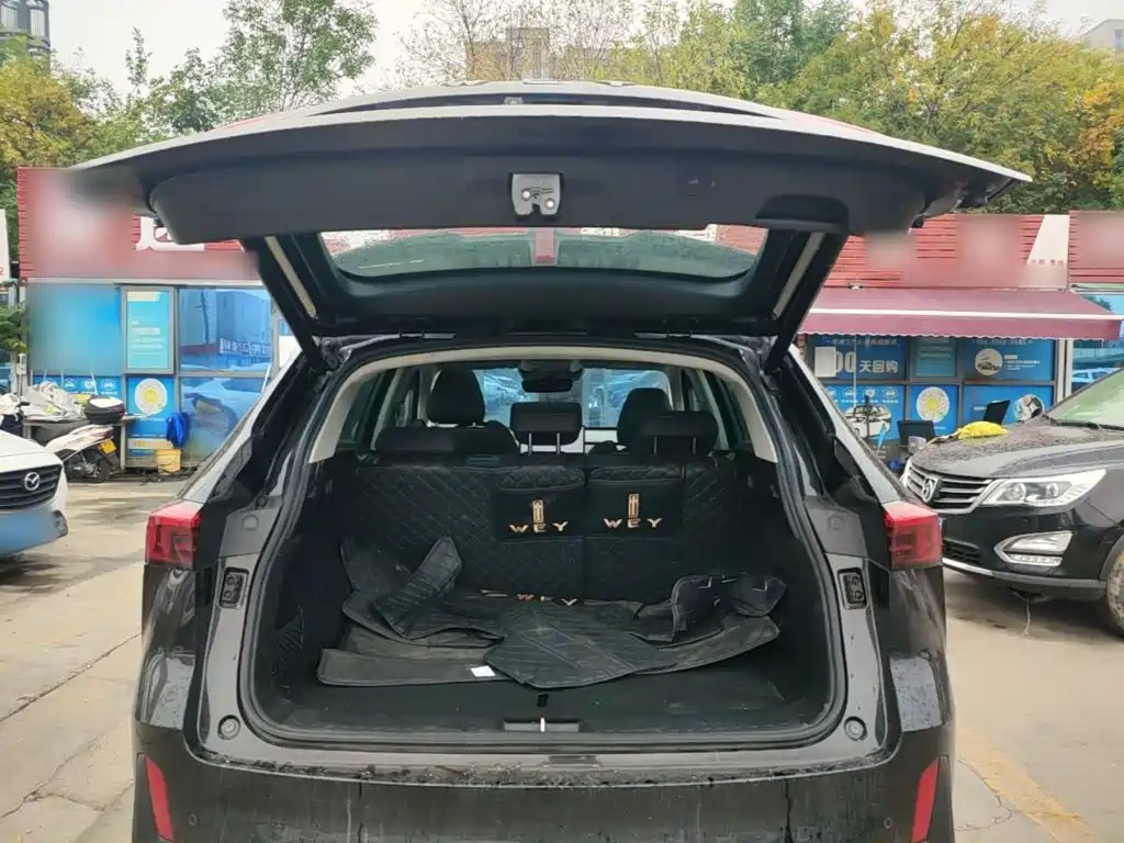 WEY Macchiato DHT-PHEV 2022 2021 1.5L Master Edition