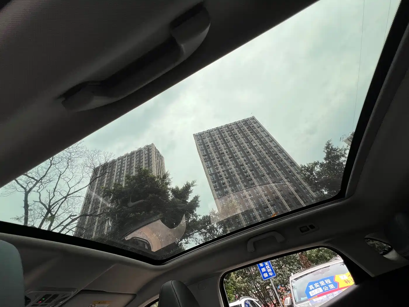 WEI PAI WEI BRAND VV5