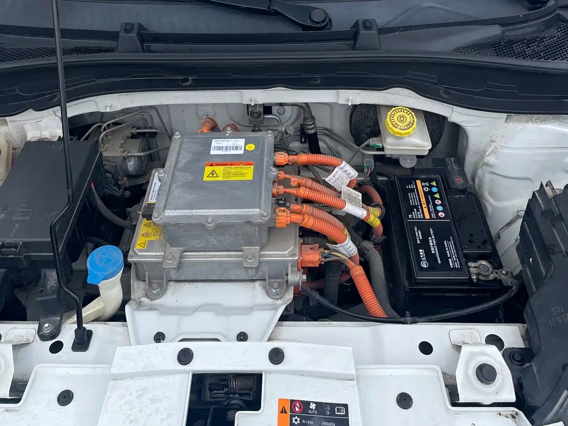 Roewe Clever 2023 2022 311km Vitality Bobo Edition