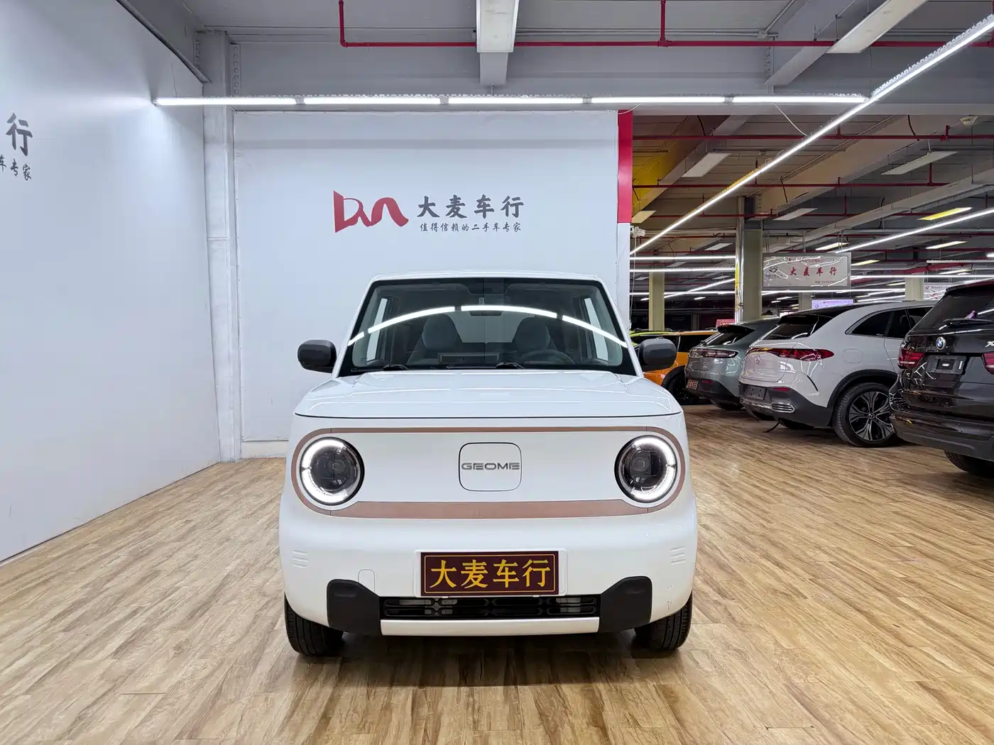 Geely Galaxy Panda 2023 2023 Panda Mini 200km Endurance Bear