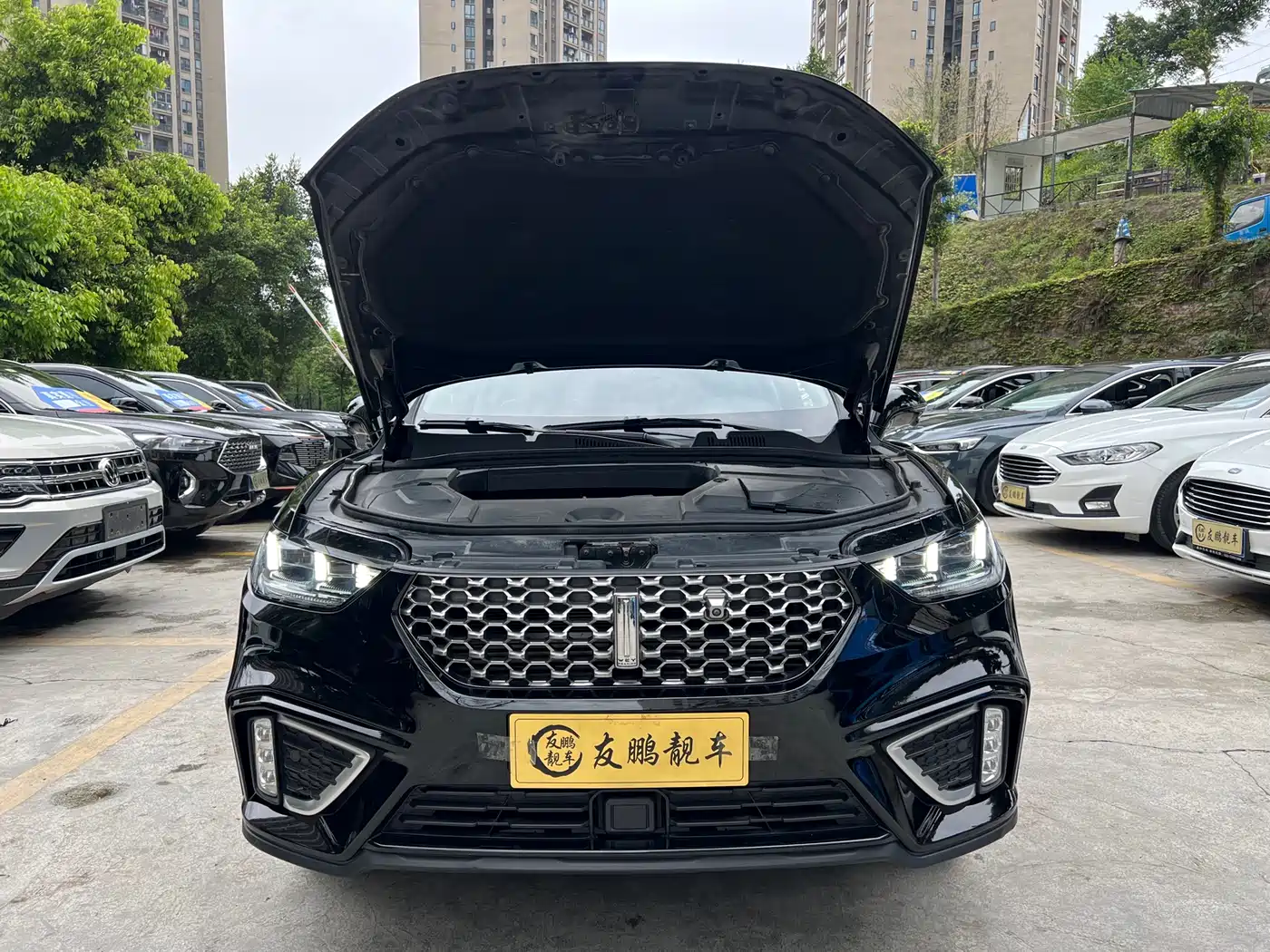 WEI PAI WEI BRAND VV5